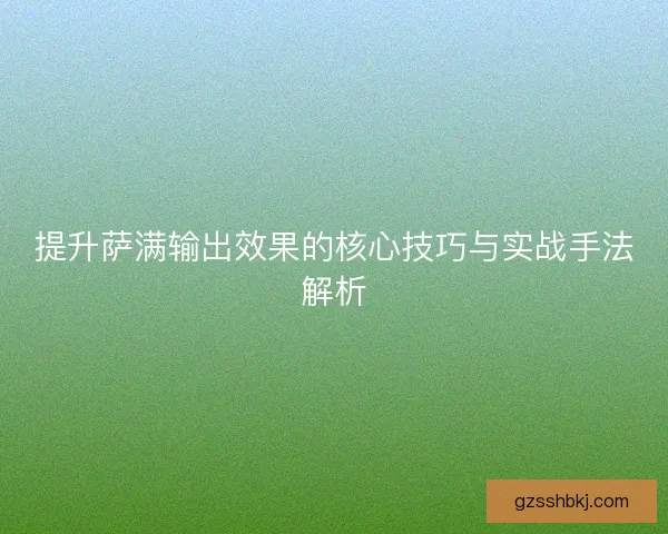 提升萨满输出效果的核心技巧与实战手法解析