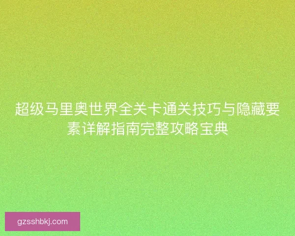 超级马里奥世界全关卡通关技巧与隐藏要素详解指南完整攻略宝典